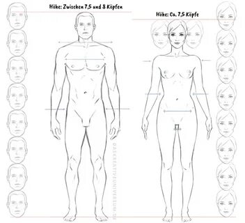 Menschlichen Körper zeichnen: Anleitung für ideale Proportio