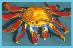 Colorful Crab with Border Painting by Stephen Anderson Fine 