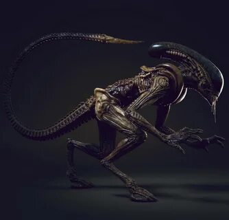 Pin on xenomorph