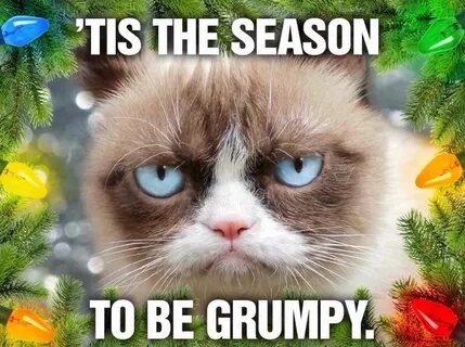 Grumpy Cat Funny Christmas Background Images For Zoom / Grum
