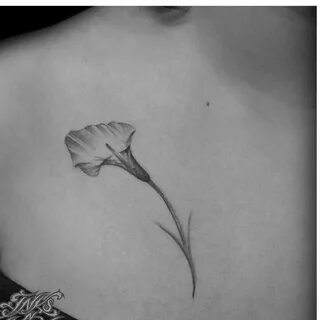 Calla Lily tattoo! Calla lily tattoos, Lily tattoo, Lily flo