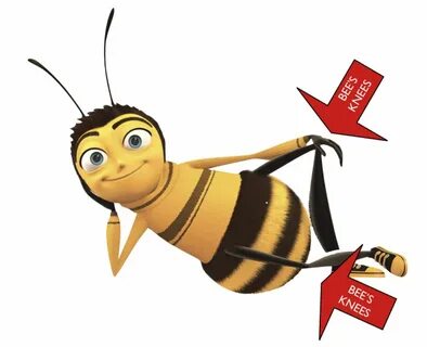 the bees knees ! Bee movie, Animated movies characters, Bee