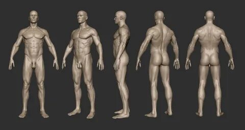 Sputch Male Turn-Around Sculpt Скульптура, Анатомия, Тело
