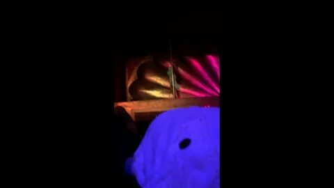 puerto vallarta (strip club) - YouTube