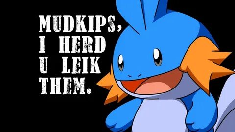 Mudkip Memes Wallpapers - Wallpaper Cave