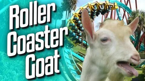 Goat Sim - Rollercoaster Goat (Co-op) - YouTube