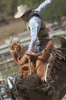 San Dimas Rodeo Saddle Bronc Editorial Photography - Image o