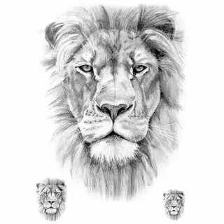 Image result for lion king Lion head tattoos, Small lion tat