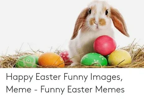 ✅ 25+ Best Memes About Happy Easter Funny Happy Easter Funny