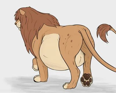Random feral lion with a full belly without nothing speci...