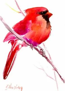 Northern Cardinal Red bird tattoos, Birds painting, Watercol