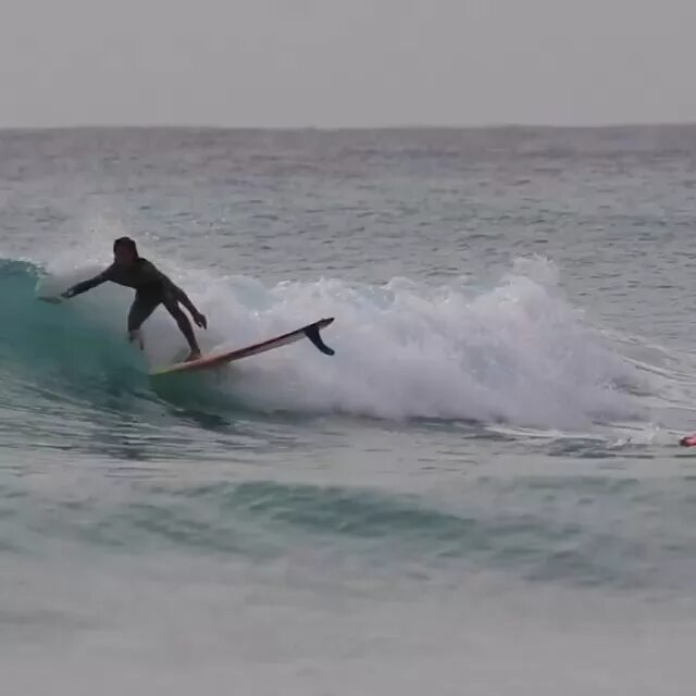 Surferboy805
