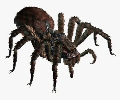 Giant Spider Dnd 5e, HD Png Download , Transparent Png Image