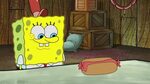 SpongeBuddy Mania - SpongeBob Episode - SpongeBob, You're Fi