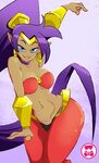 Shantae page 6 of 30 - Zerochan Anime Image Board