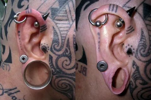 Фото Файл:Modified ear.jpg