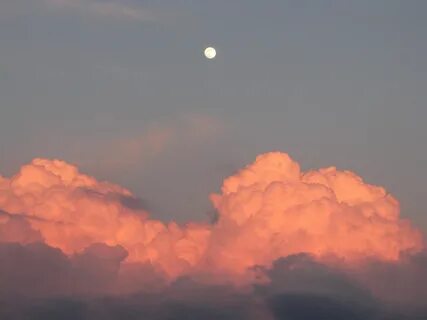 Pinterest: us.nilep Sky aesthetic, Pretty sky, Sky and cloud