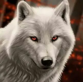 черный и белый волк - Mobile Legends