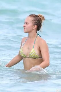 Hayden Panettiere Bikini 2013: in Miami Beach -68 GotCeleb