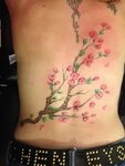 Free 175 of the Prettiest Cherry Blossom Tattoos - SG Tattoo