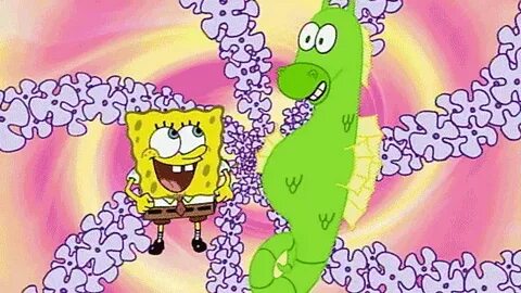 GIF spongebob - animated GIF on GIFER