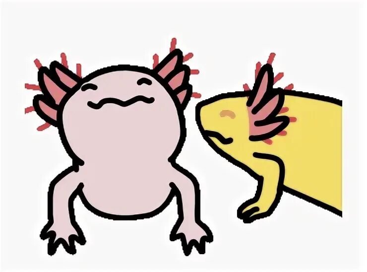 Axolotl Animated Gif