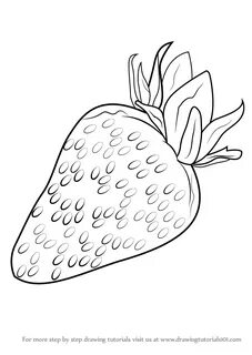 Drawn strawberry beginner step by step - Pencil and in color