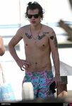 Picture of Harry Styles in General Pictures - harry-styles-1