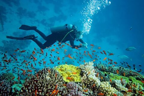 There's an incredible India living underwater. Photo: 123rf 