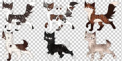 Cat Warriors Ravenpaw Adoption Tawnypelt, Cat, horse, mammal