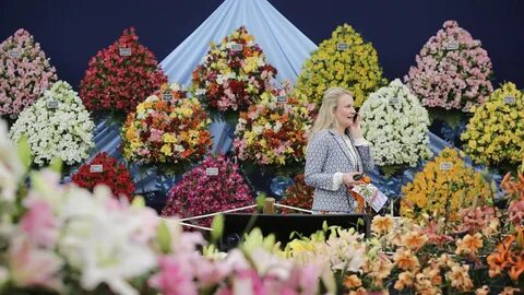 Sponsorship wilts for the Chelsea Flower Show Financial Time