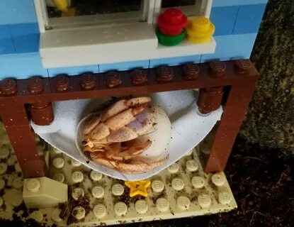 hermit crab lego cheap online