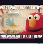 I love Sesame Street jokes... Elmo memes, Elmo, Funny basket