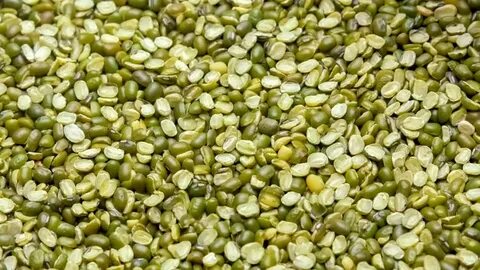 bulk lentils supply mung beans being: Stockvideók (100%-ban 