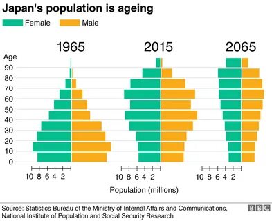 Japanese women population problem