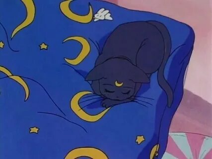 Pin by ✧ a q s a ✧ on Luna & Artemis Sailor moon aesthetic, 