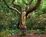 Free Images : tree, branch, woman, flower, trunk, monument, 