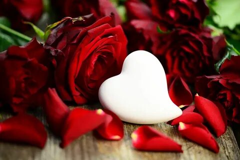 Cuori Amore e I LOVE YOU per San Valentino Rose, Valentines,