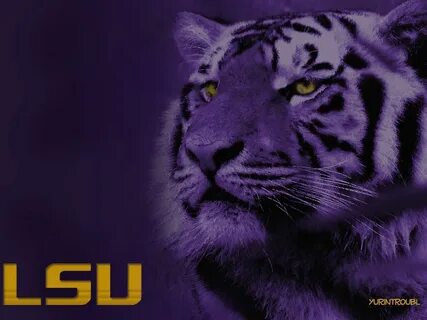 LSU Tigers Wallpapers - 4k, HD LSU Tigers Backgrounds on Wal