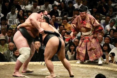 Sumo Sumowrestling Wiki Fandom