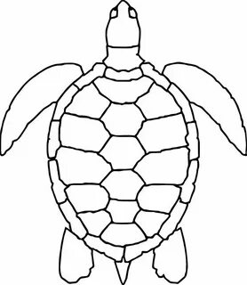 Sea Animals Turtle Coloring Page Turtle drawing, Turtle art,