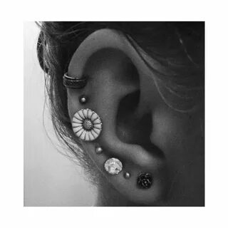 Tumblr Ear piercings, Multiple piercings earrings, Piercings