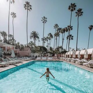 The Beverly Hills Bikini Shop (@thebeverlyhillsbikinishop) — Instagram