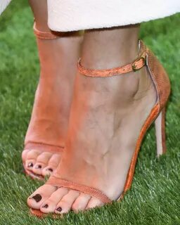 Rachel Bilson Feet (19) - Celebrity Feet Pics