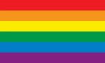 Rainbow officially flag 2641507 Vector Art at Vecteezy