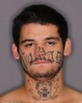 NZ police hunt violent fugitive with a 'Nomad' face tattoo D