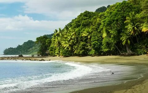 Corcovado: The Best National Park In The World ⋆ The Costa R