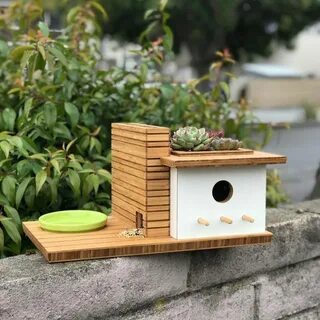 Douglas Barnhard on Instagram: "The San Rafael Birdhouse Now