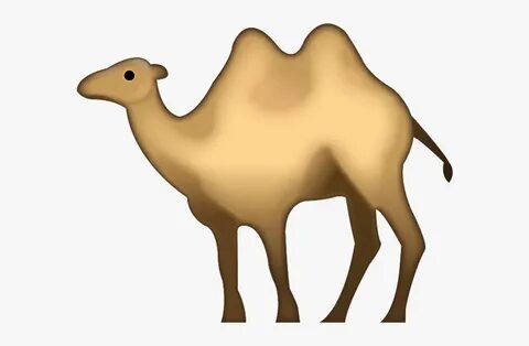 Camel Animal Transparent Png Images Free Download - Camel Ip