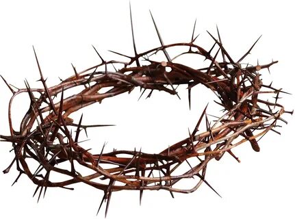 Thorns Crown Transparent Background - Good Friday Crown Of T